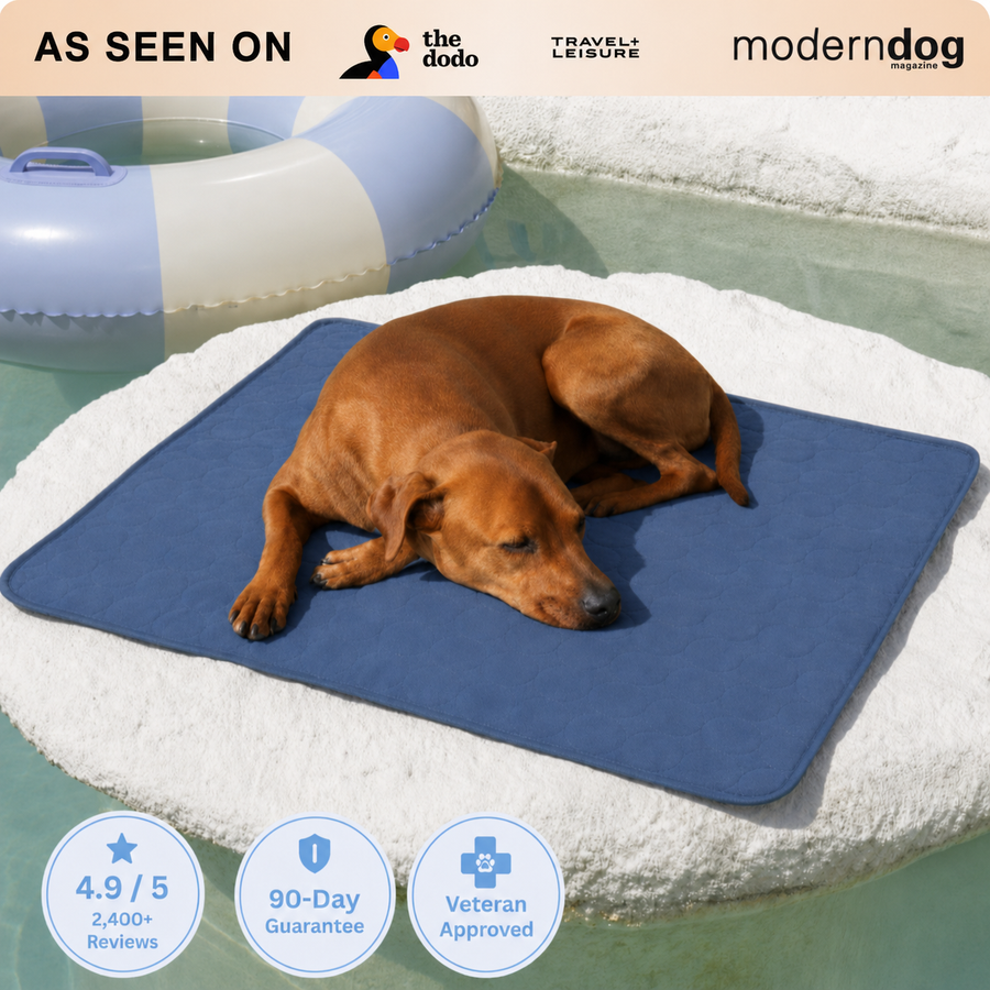 ChillPawz Ice Silk Cooling Bed