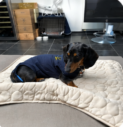 Mila — Size M