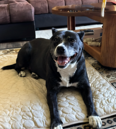 Zoey — Size L