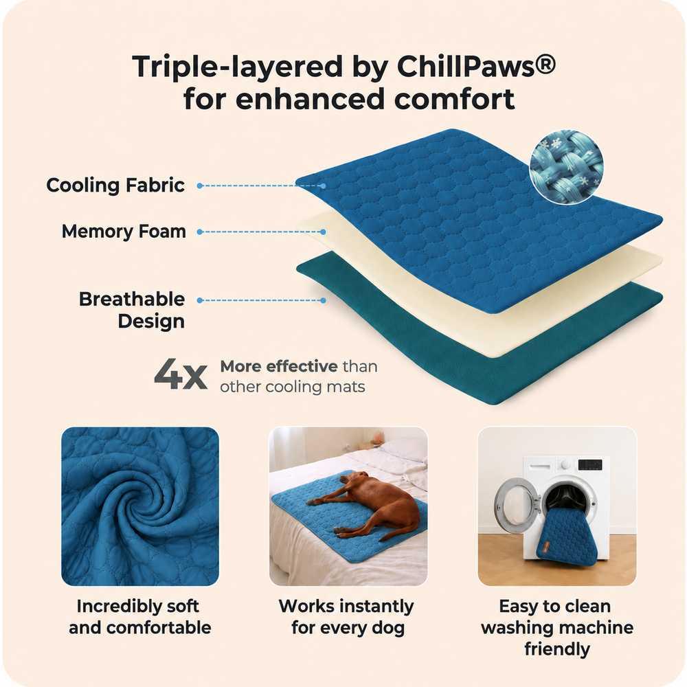ChillPawz Triple-layer diagram