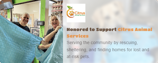 Shelter partner 2