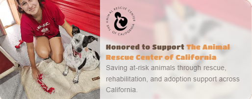 Shelter partner 4